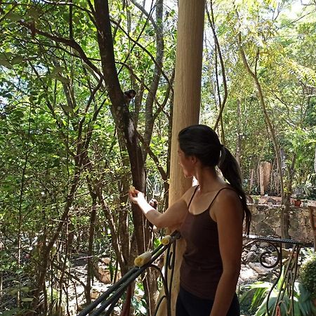 Casa Da Mata Descanso E Sossego Na Natureza Ibicoara Buitenkant foto
