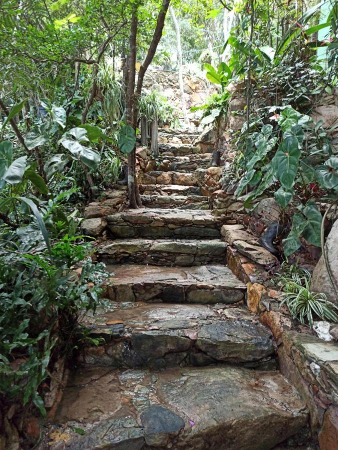 Casa Da Mata Descanso E Sossego Na Natureza Ibicoara Buitenkant foto