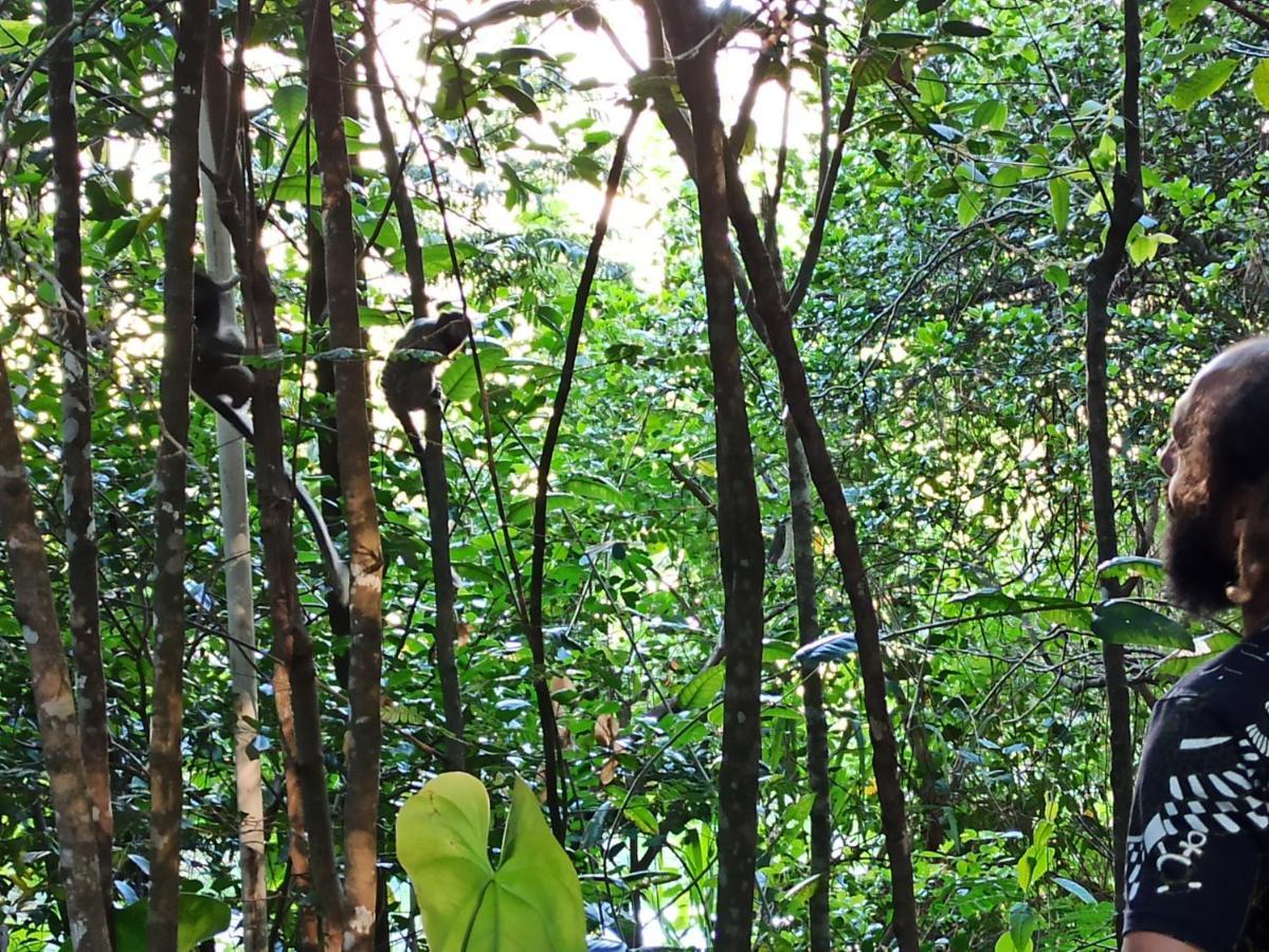 Casa Da Mata Descanso E Sossego Na Natureza Ibicoara Buitenkant foto