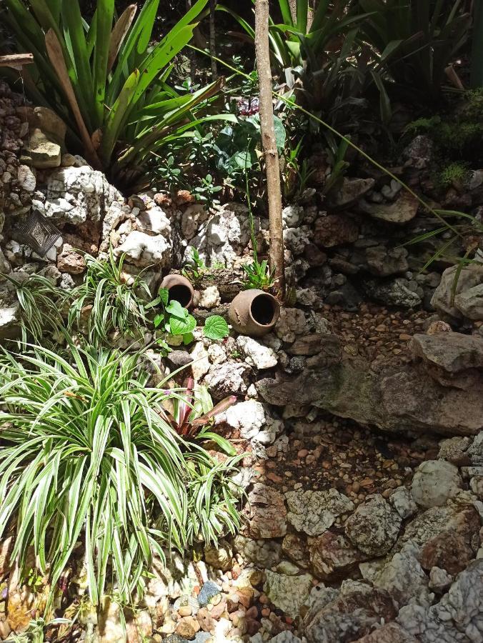 Casa Da Mata Descanso E Sossego Na Natureza Ibicoara Buitenkant foto