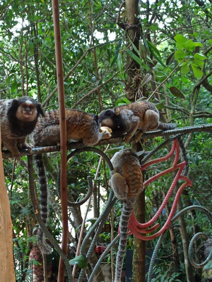 Casa Da Mata Descanso E Sossego Na Natureza Ibicoara Buitenkant foto